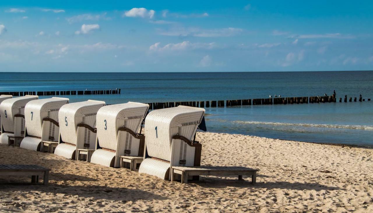 Premium-Lodge Im Der Suedschwede ... Dein Gaestehaus Mitten In ツィングシュト エクステリア 写真